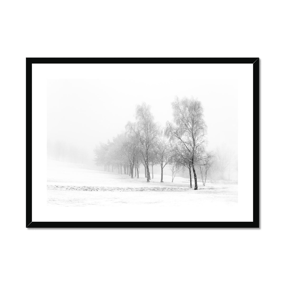 Snowfall - Framed & Mounted Print