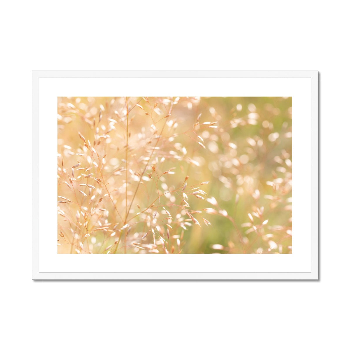 Dancing Light - Framed & Mounted Print