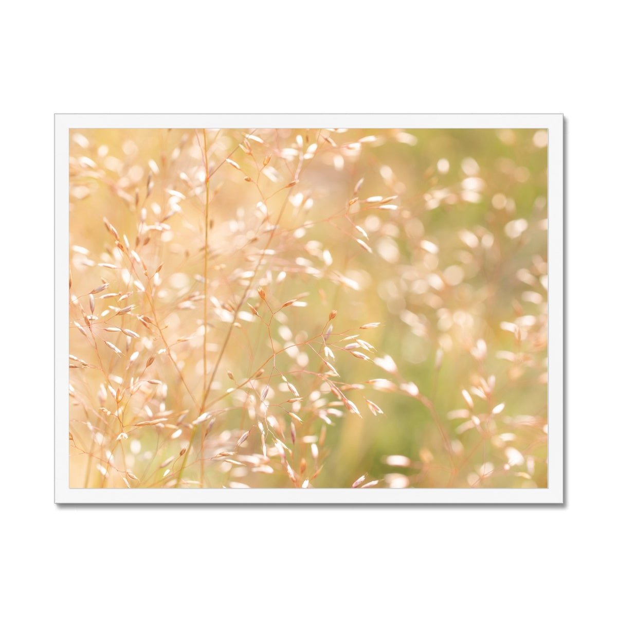 Dancing Light - Framed Print