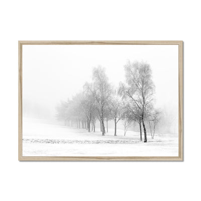 Snowfall - Framed Print