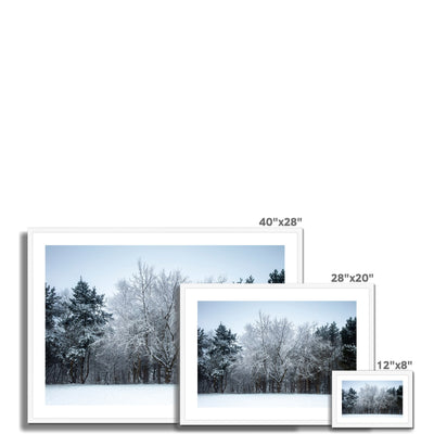 Winter Tree - Framed & Mounted Print