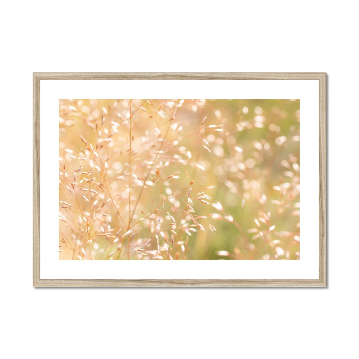 Dancing Light - Framed & Mounted Print