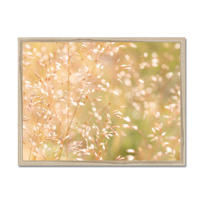 Dancing Light - Framed Print