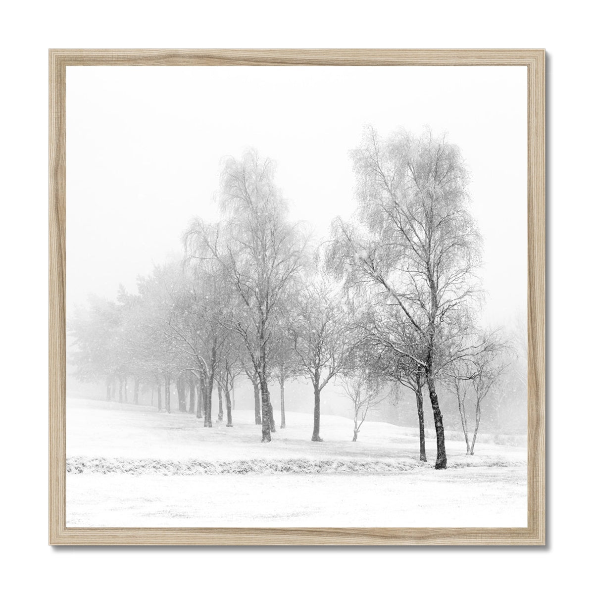 Snowfall - Framed Print