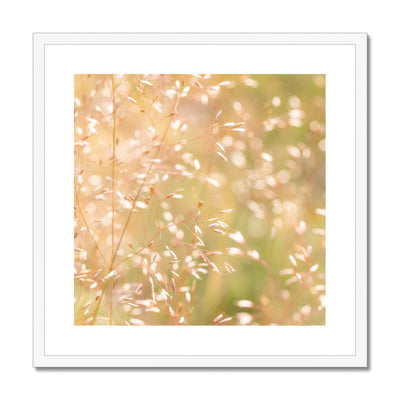 Dancing Light - Framed & Mounted Print