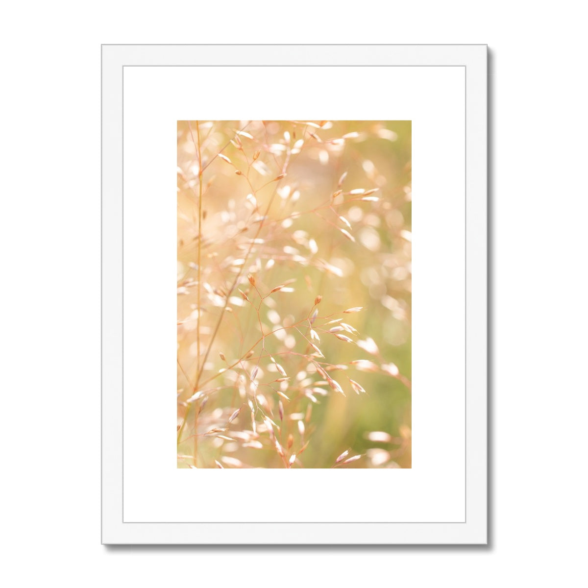 Dancing Light - Framed & Mounted Print