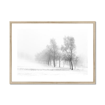 Snowfall - Framed & Mounted Print