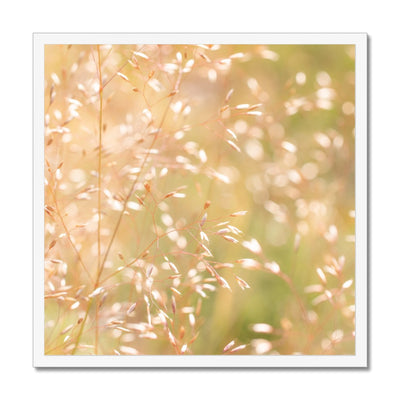 Dancing Light - Framed Print