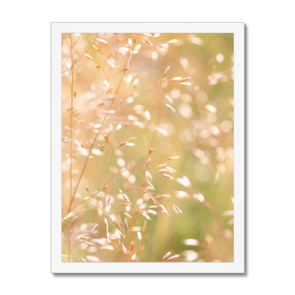 Dancing Light - Framed Print