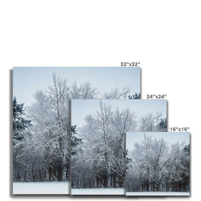 Winter Tree - Canvas