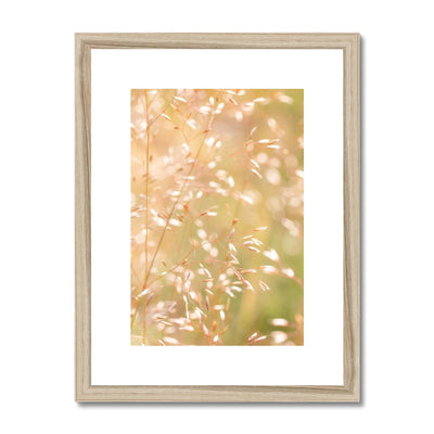 Dancing Light - Framed & Mounted Print