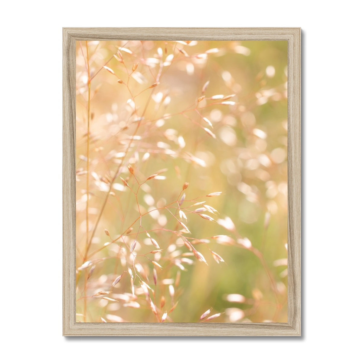 Dancing Light - Framed Print