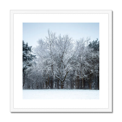 Winter Tree - Framed & Mounted Print