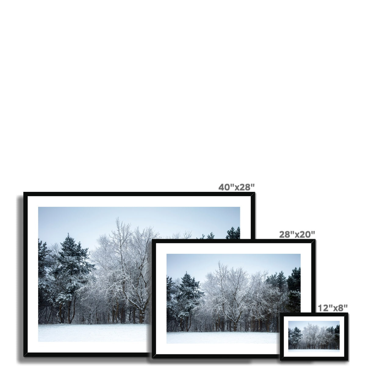 Winter Tree - Framed & Mounted Print