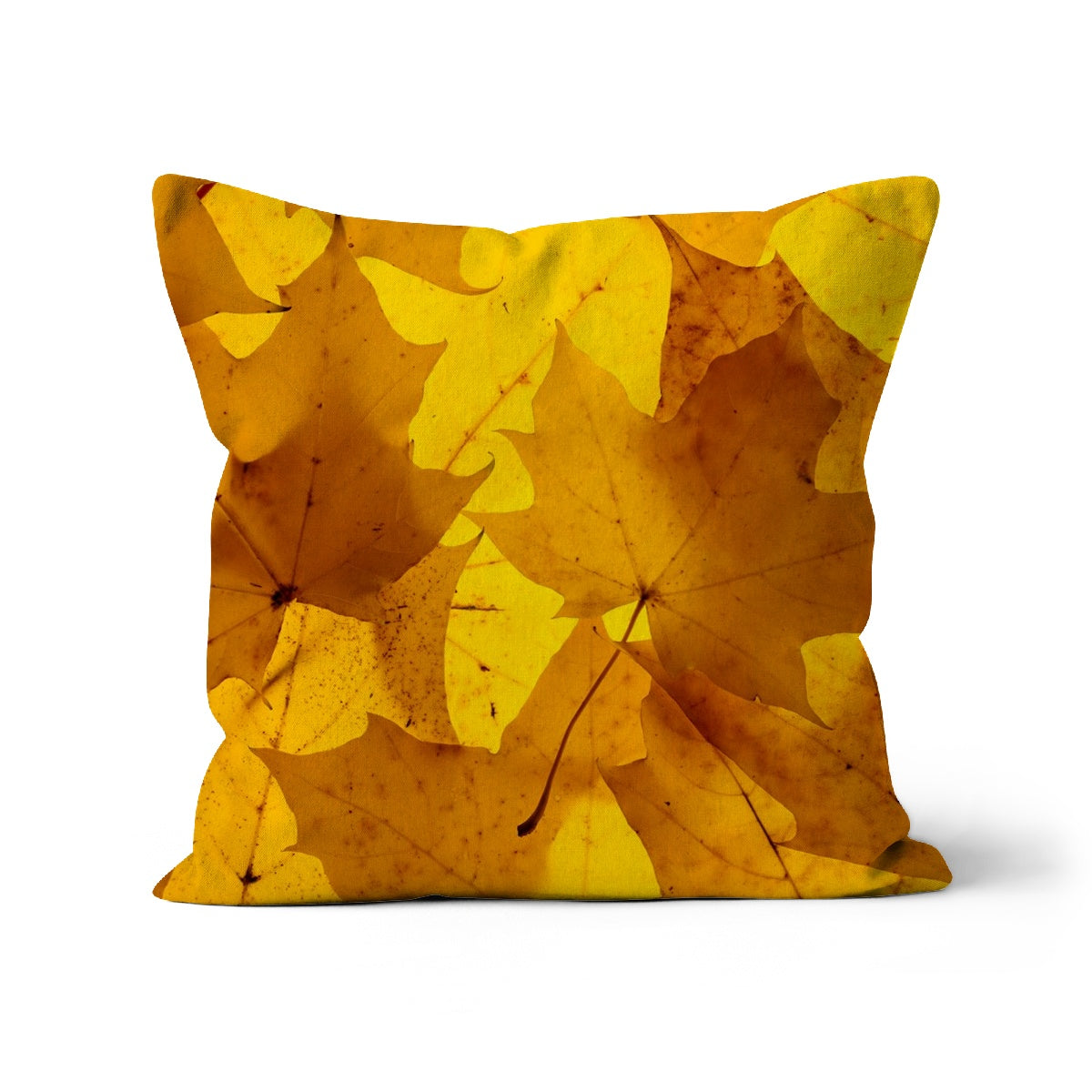 Golden Glow - Cushion