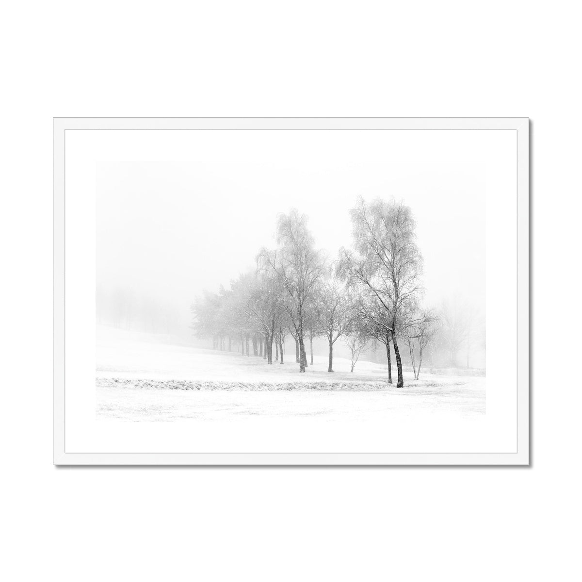 Snowfall - Framed & Mounted Print