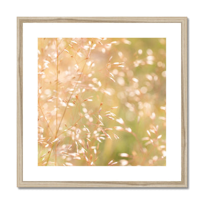 Dancing Light - Framed & Mounted Print