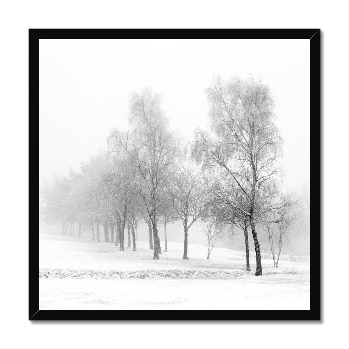 Snowfall - Framed Print