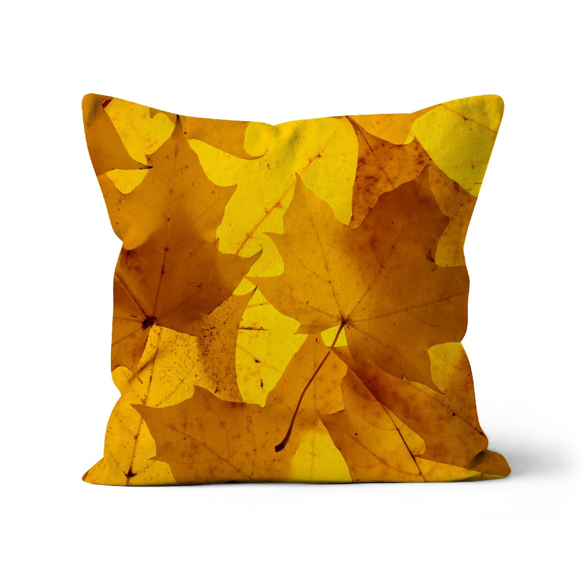 Golden Glow - Cushion