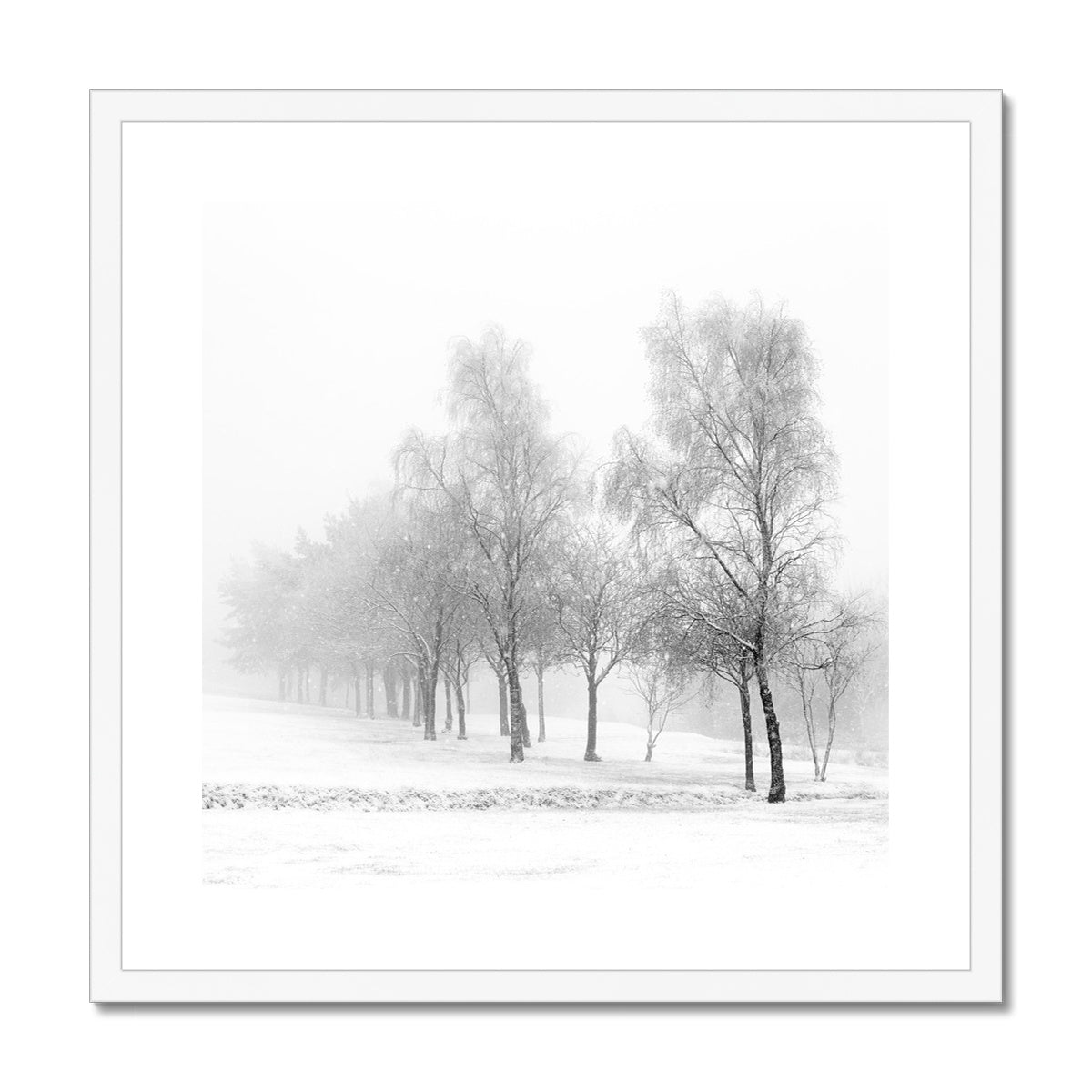 Snowfall - Framed & Mounted Print