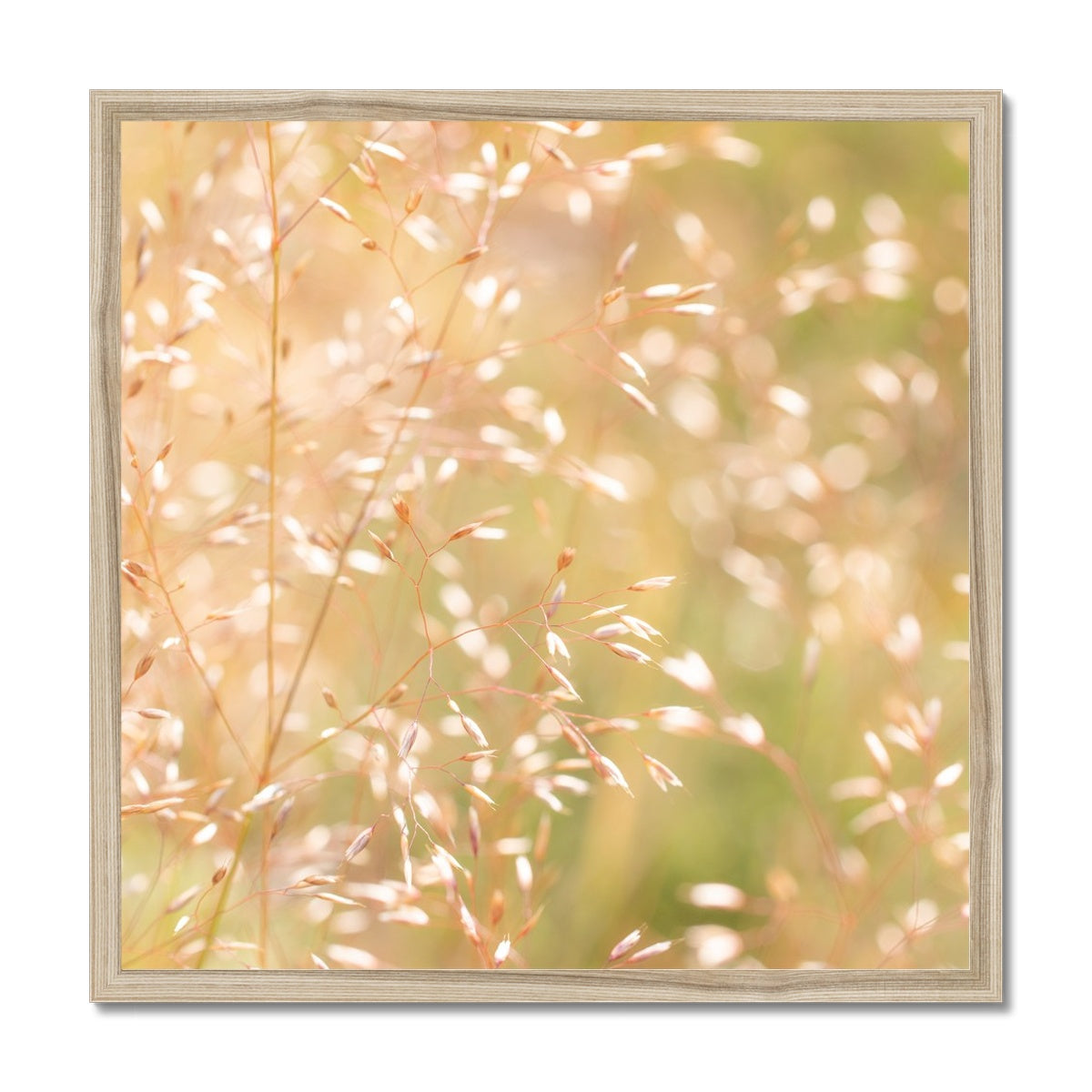 Dancing Light - Framed Print