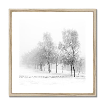 Snowfall - Framed & Mounted Print