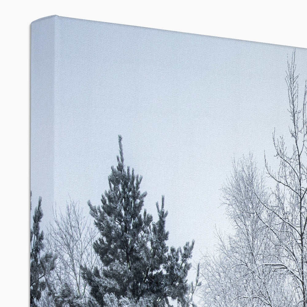 Winter Tree - Canvas