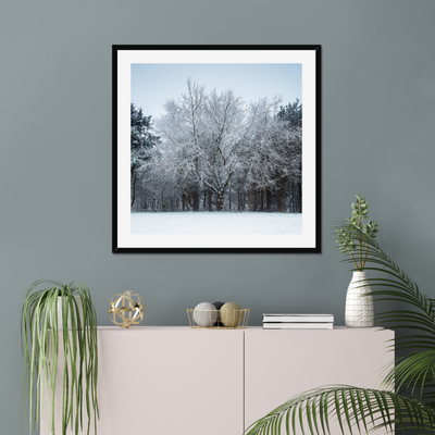 Winter Tree - Framed & Mounted Print